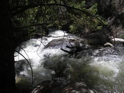 The creek [mon may 25 12:37:25 mdt 2009]